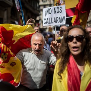 manifestacio espanyolista unionista bandera espanyola via laietana (bona qualitat) - Carles Palacio