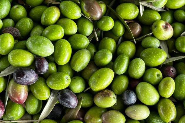 Olives / Foto: Unsplash Olives / Foto: Unsplash