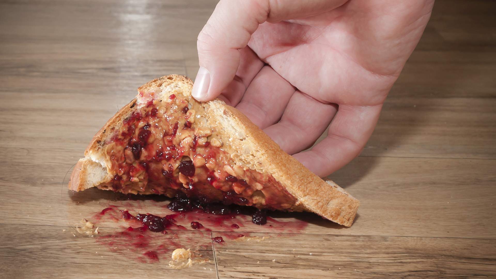 ¿Funciona la regla de los 3 segundos cuando la comida cae al suelo?