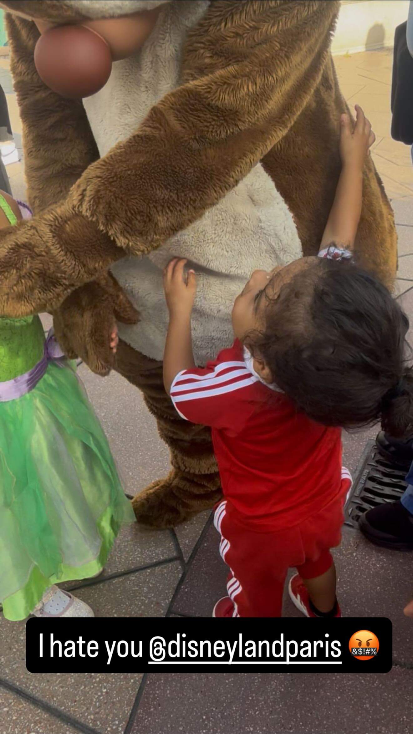 Disney, us odio, Ig