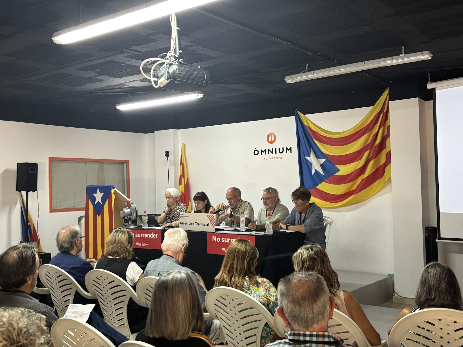 pla de govern consell de la republica