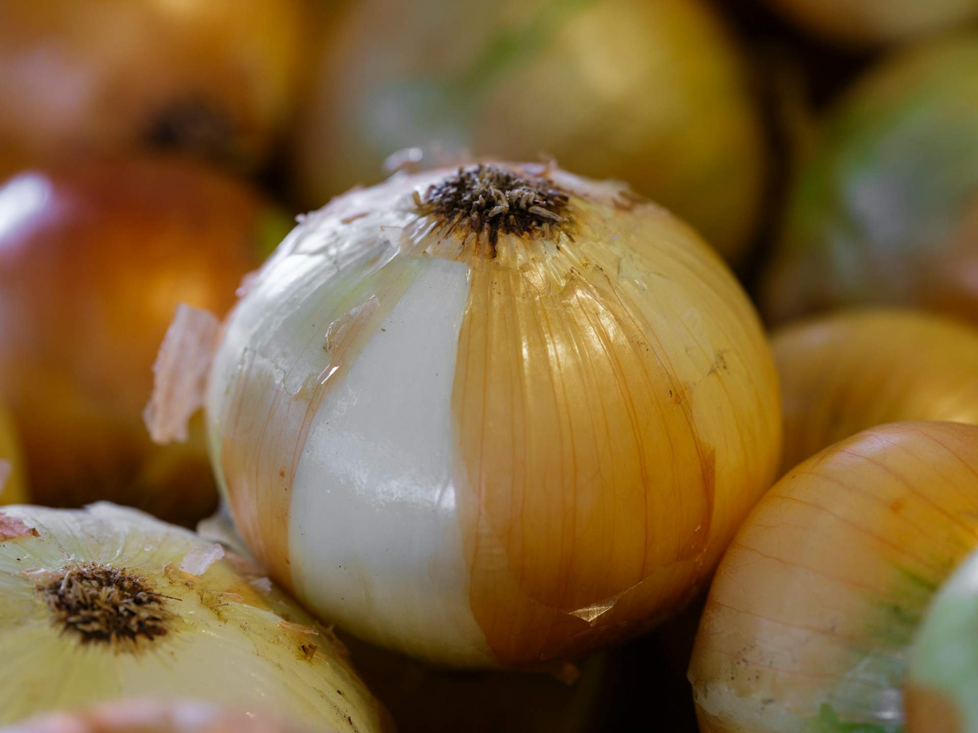 engin akyurt harU2A cm80 unsplash