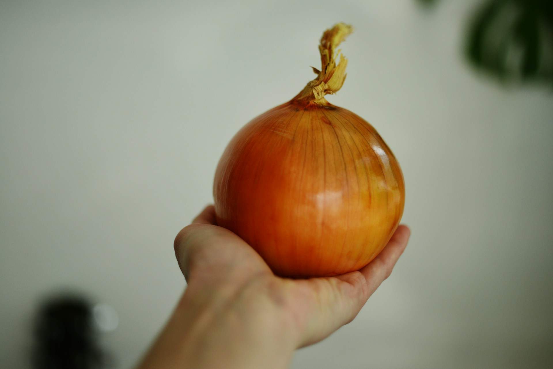 La mejor receta que puedes hacer con una cebolla, según el cocinero Arnau París de MasterChef