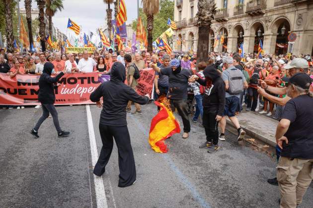 Manifestació de la Diada / Carlos Baglietto