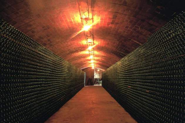 bodega, bodega, vinos, cavas, botellas / Foto: Museo del Vino y del Cava Ramon Canals