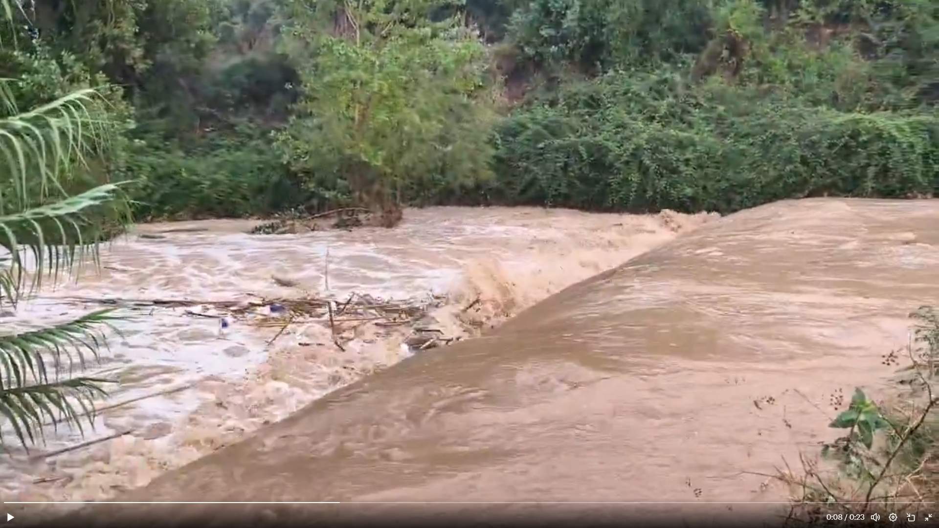 Carreteras cortadas, calles inundadas y cortinas de agua: los resultados de las intensas lluvias de hoy