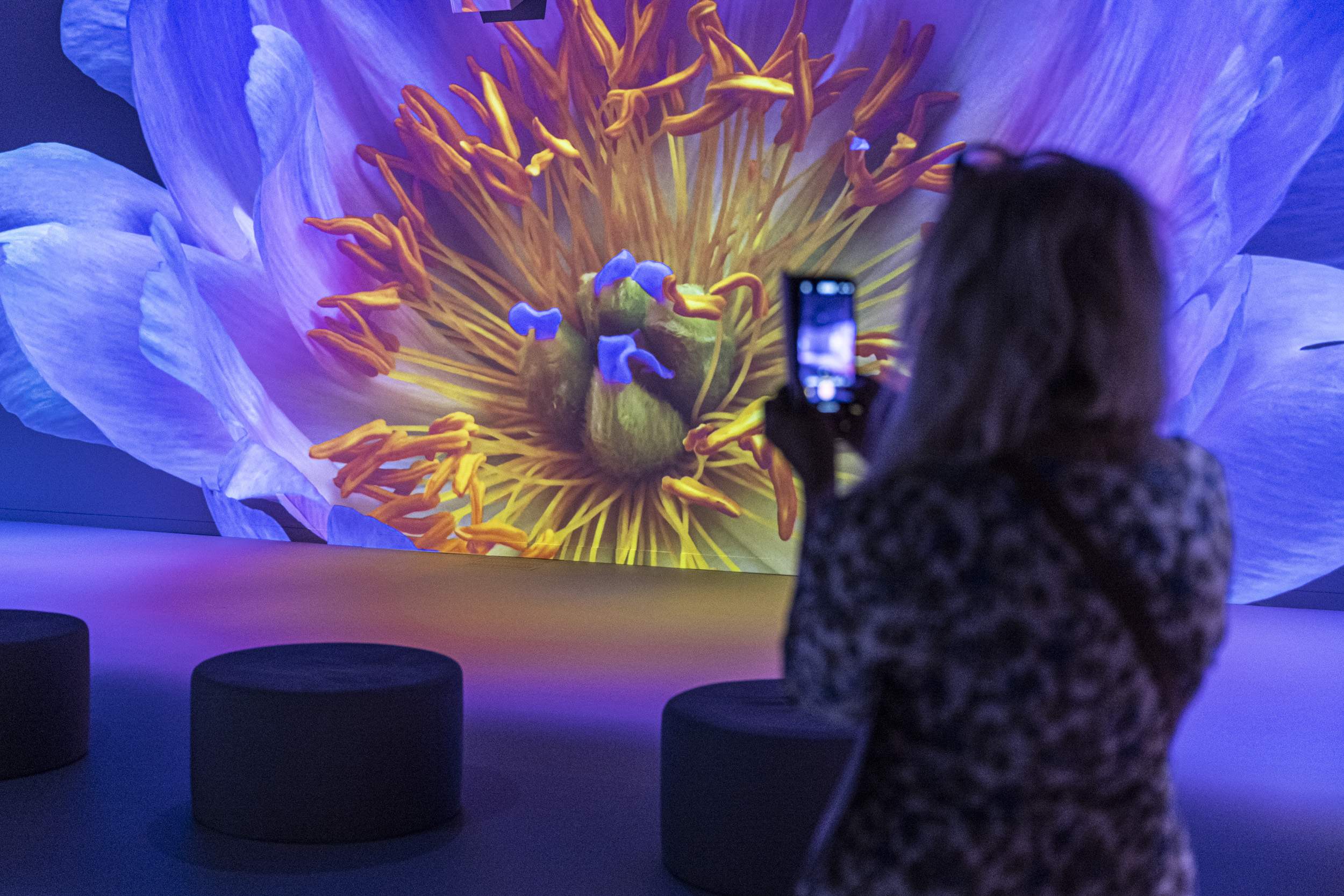 EXPOSICIO SOM NATURA CAIXAFORUM / Foto: Montse Giralt