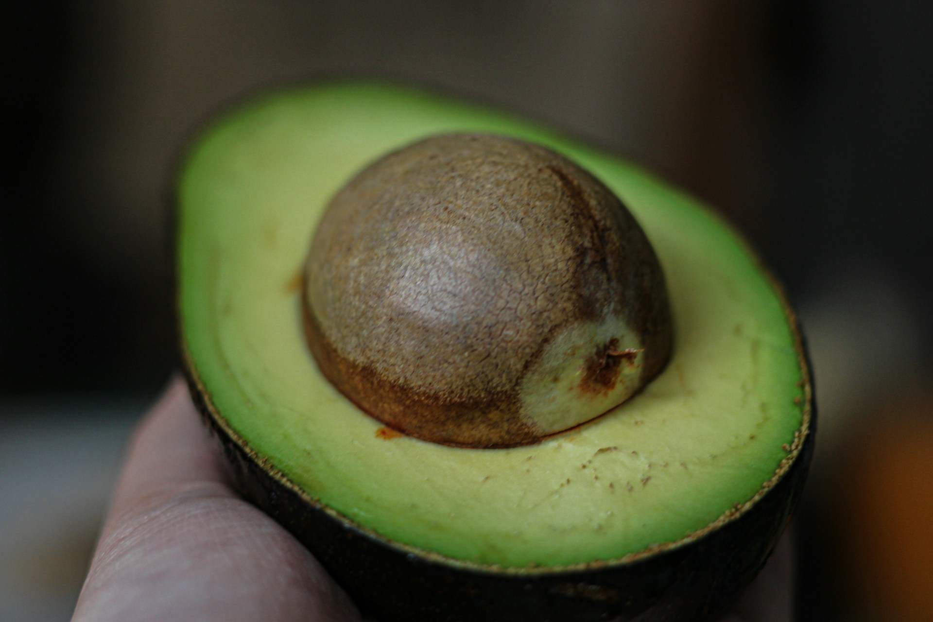 Una enginyera d'aliments alerta: guardar l'alvocat així és un risc per a la salut