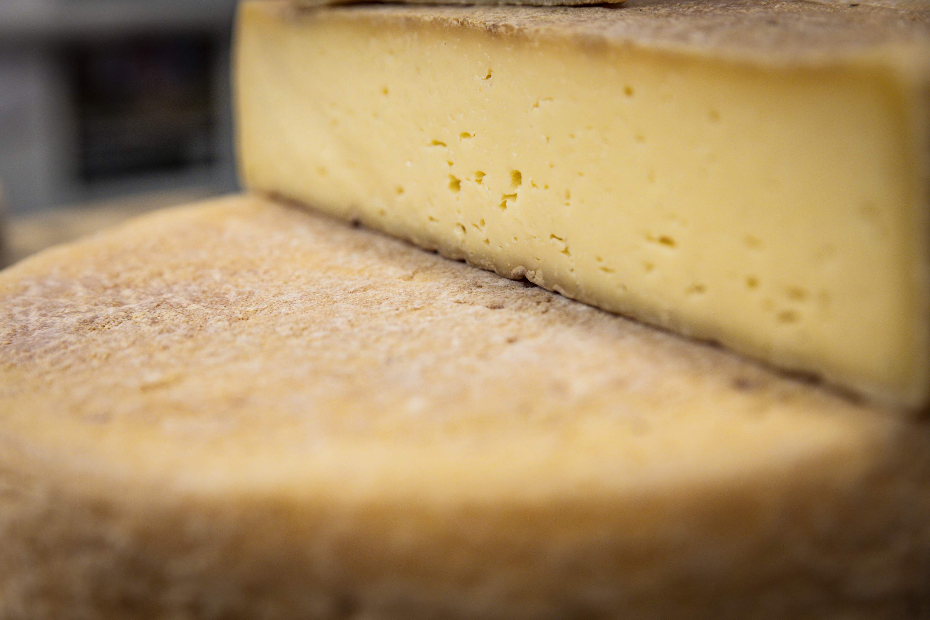 El secreto de los quesos está en la leche: cómo y por qué cambia durante el año