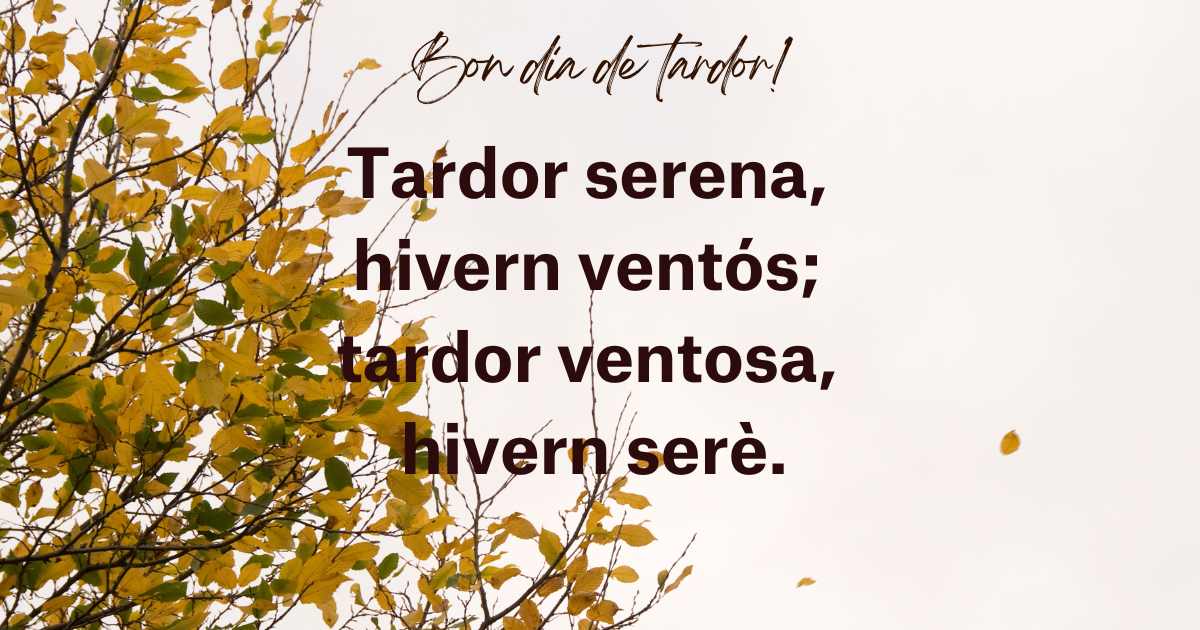 Bon dia de tardor (5) Bon dia de tardor (5)