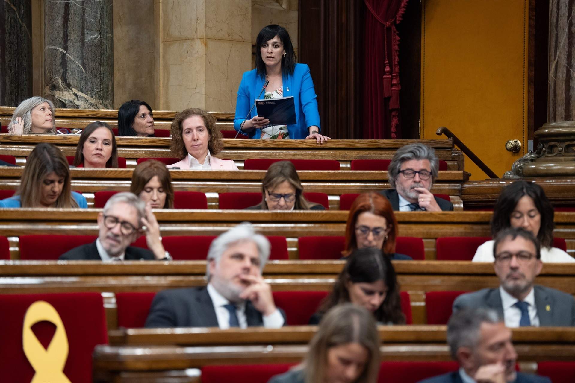 El director del CEO afirma que "los votantes de Vox y Aliança cada vez se parecen más"