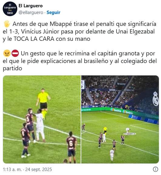 vini