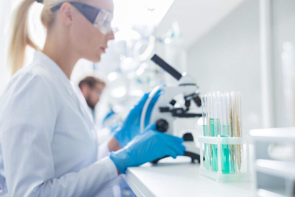 Novartis presena|presenet nous estudis sobre l'eficàcia sostinguda d'un fàrmac per a l'esclerosi múltiple