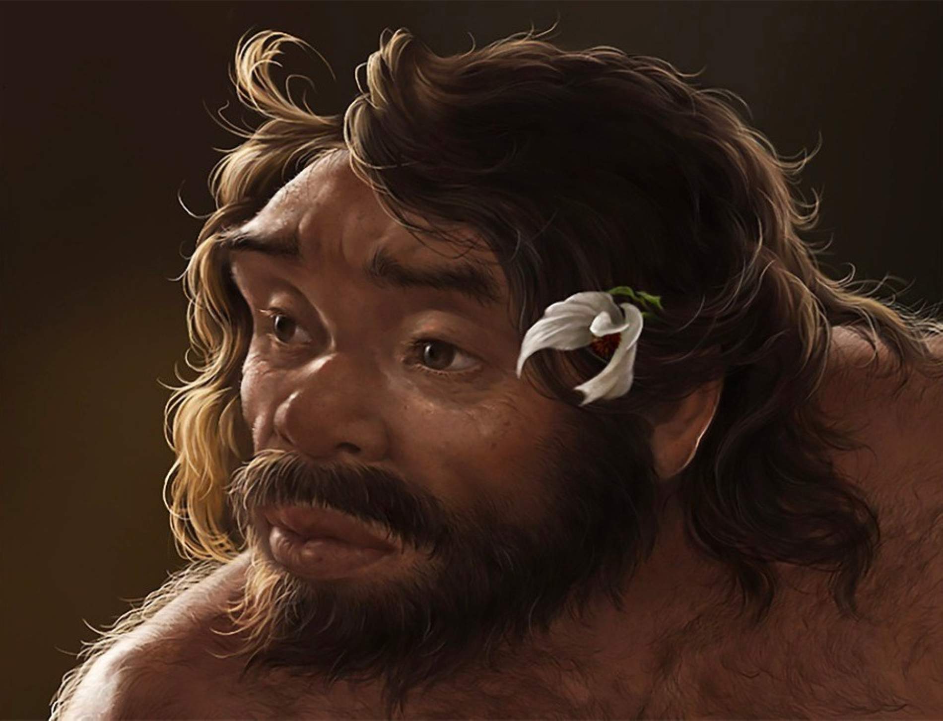 Un crani d'un milió d'anys sacseja el que sabíem de l'evolució humana