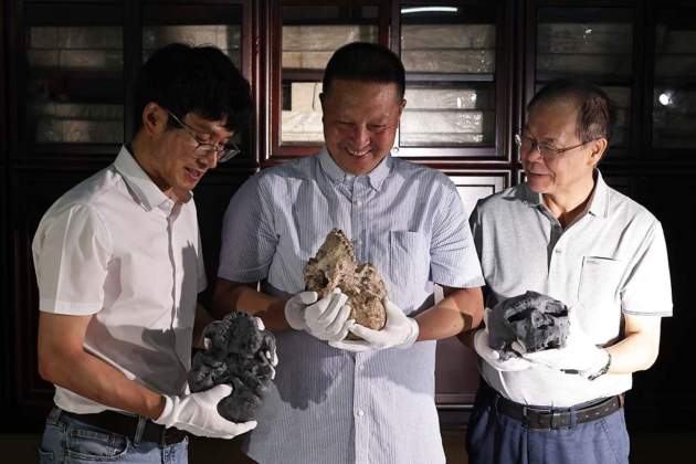Crani de Yunxian, evolucio humana