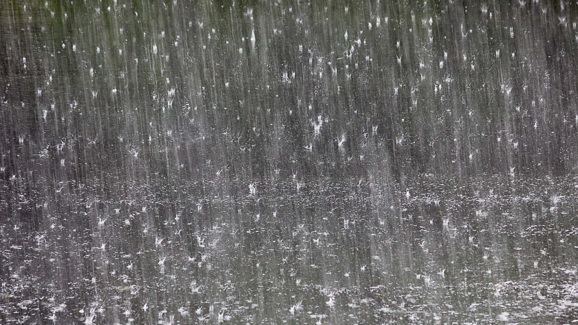 Pluja acumulada a Catalunya: ¿quant ha plogut entre ahir i avui?