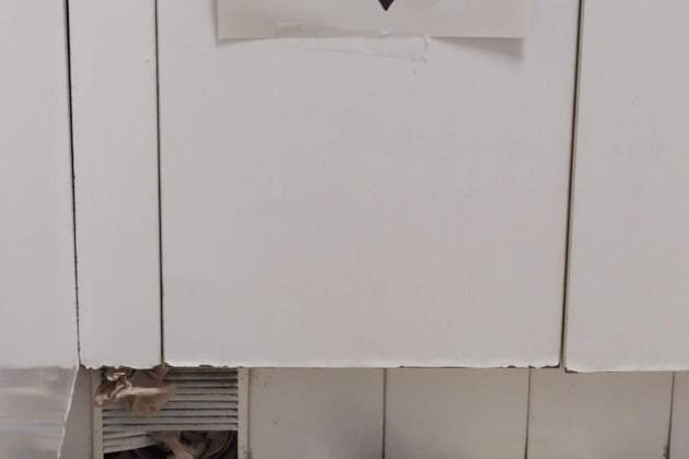 Ratas en las trampas del CAP de Santa Coloma de Farners