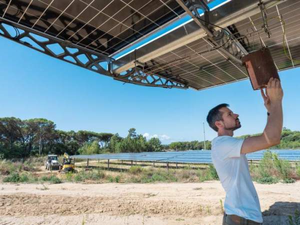 L'Energètica dur a terme actuacions mediambientals i de millora de la biodiversitat al parc solar de Vidreres