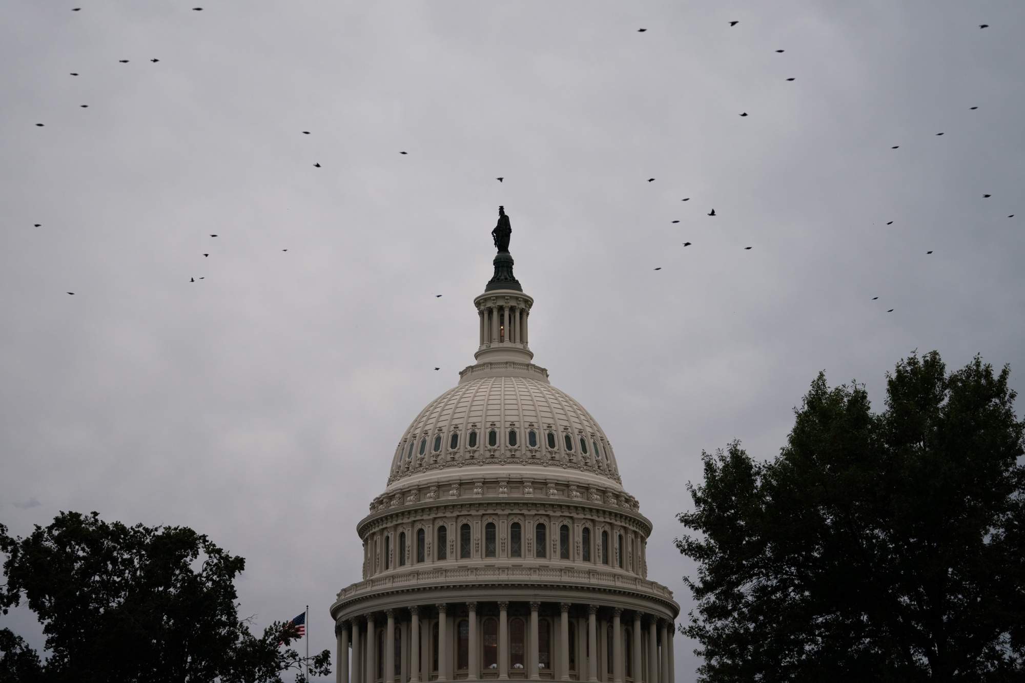 El bloqueo político entre Trump y los demócratas fuerza el cierre del Gobierno federal