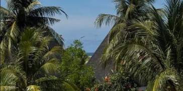 Gemma Pinto a Bali   Instagram