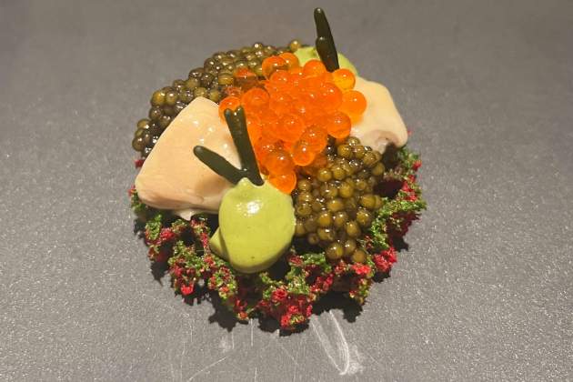 Corall d'amarant amb caviar, ostra i emulsió de codium   Disfrutar   Rosa Molinero Trias