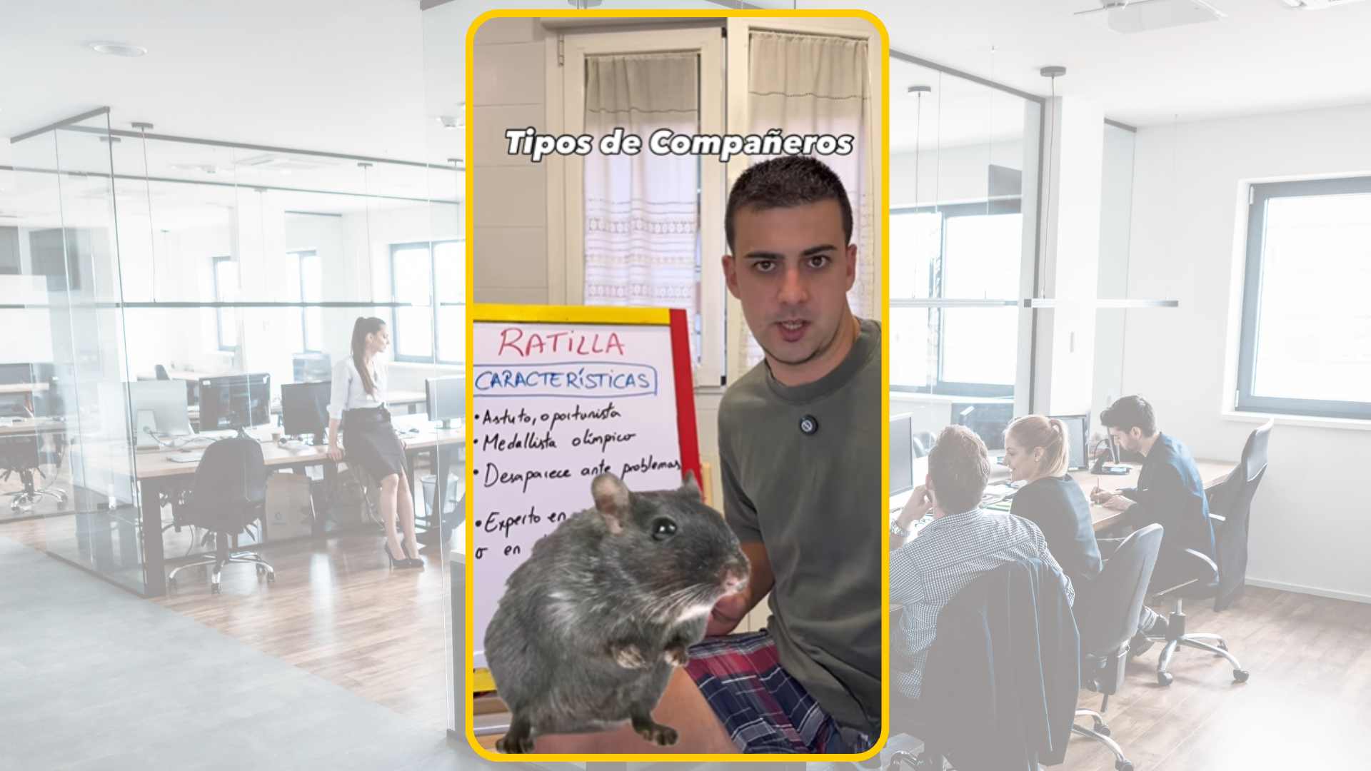 Un humorista compara els tipus de companys a la feina amb animals i la xarxa esclata
