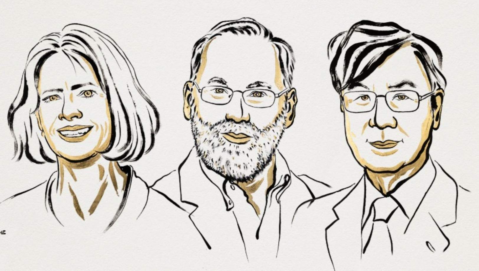 Brunkow, Ramsdell i Sakaguchi, Nobel de Medicina 2025 per identificar els "guardians" del sistema immunitari