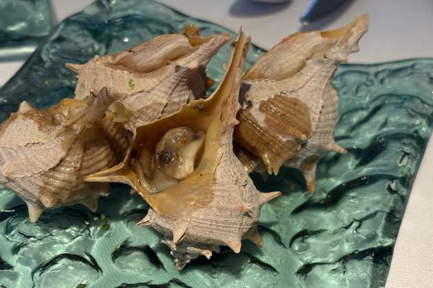 Restaurant Windsor, Menú Catalunya / Foto: Jordi Tubella