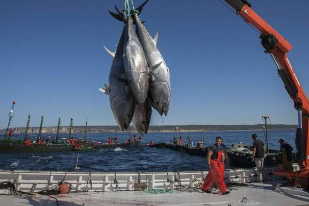 Pescadores