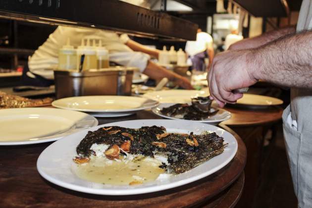 turbot turbot