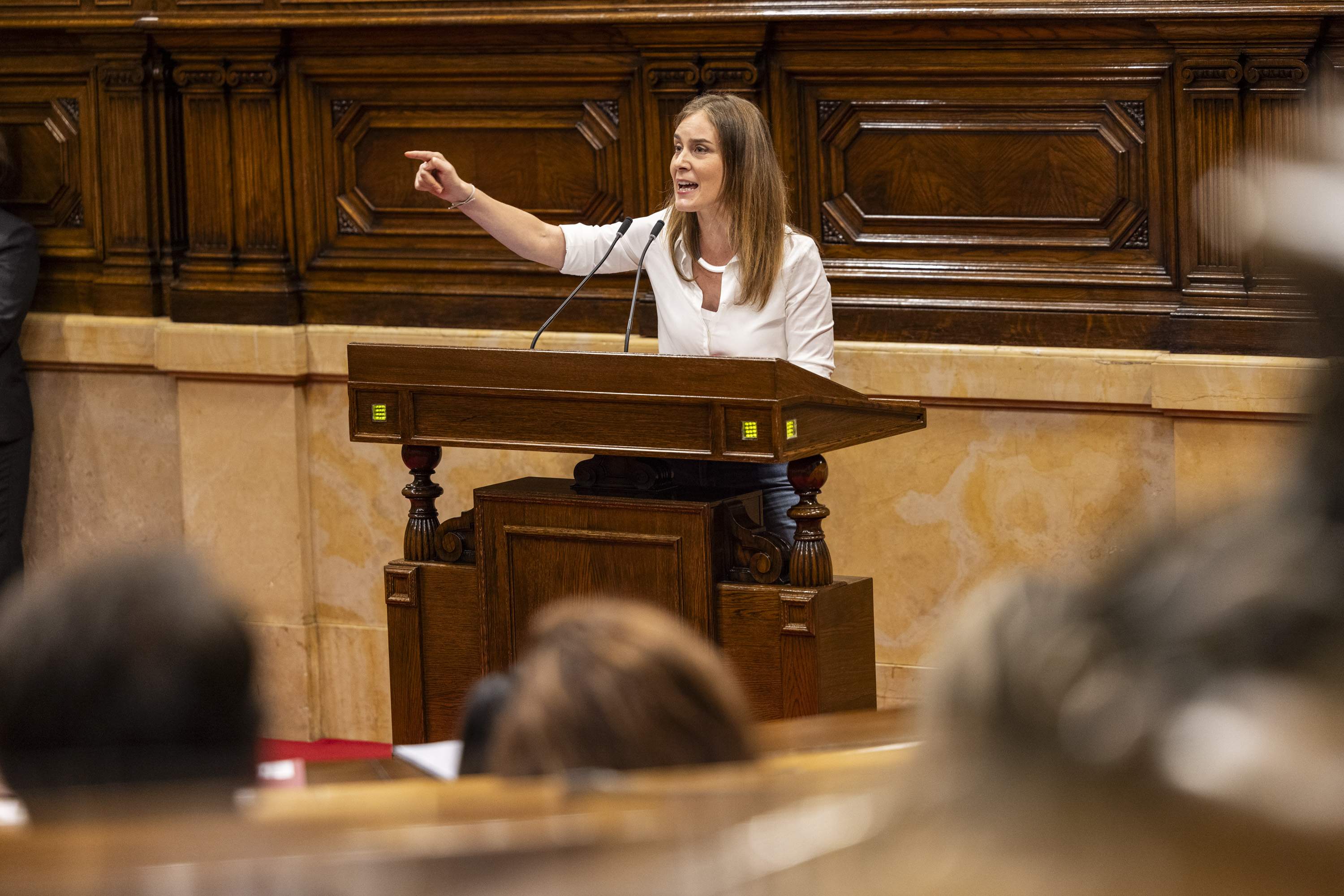 Los Comuns proponen "grandes pactos de país" para hacer frente a los discursos de odio