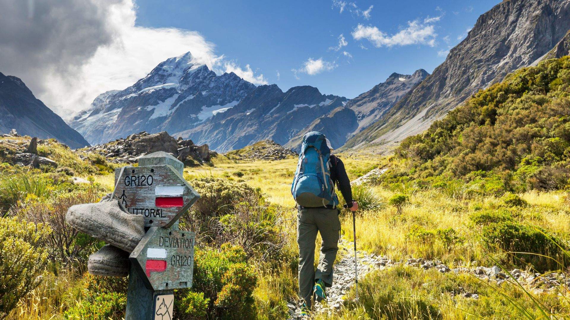 El llenguatge secret del bosc: què volen dir les marques de colors i la seva posició?