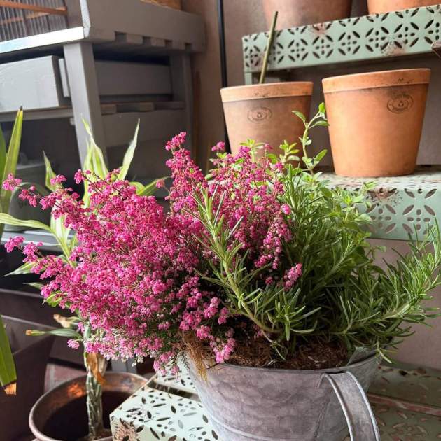 Las flores para el aniversario de Pilar Tobella / Instagram Las flores para el aniversario de Pilar Tobella / Instagram