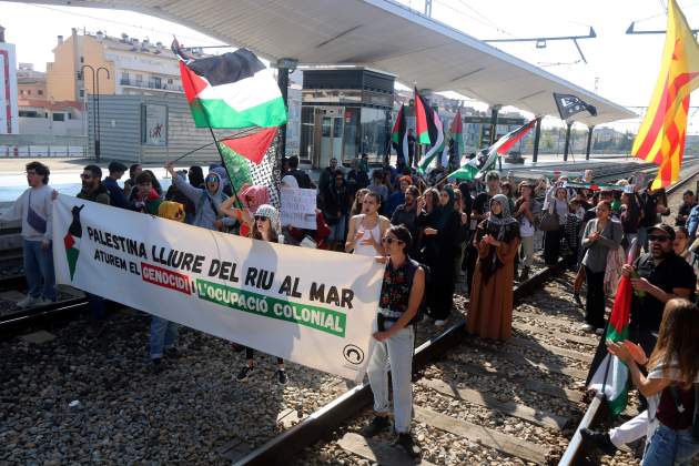 manifestació girona palestina acn manifestació girona palestina acn