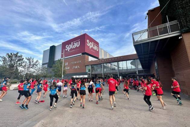 img 3043 2 img 3043 2