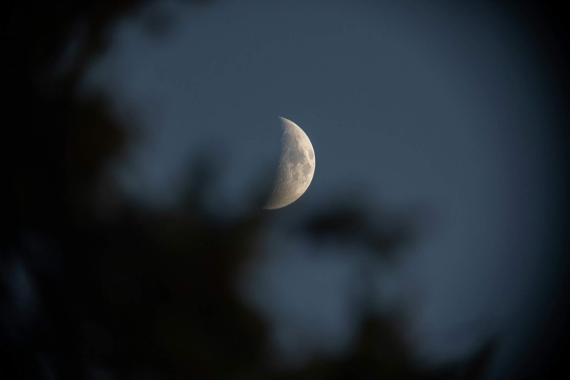 Huevos bajo el hechizo lunar: la ciencia confirma un vínculo insospechado