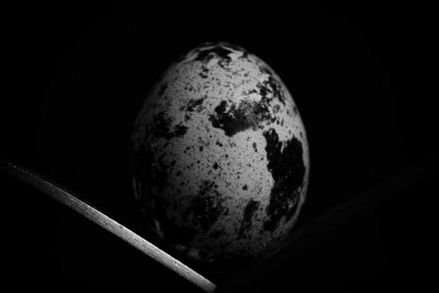 Huevos y ciclo lunar / Foto: Unsplash Huevos y ciclo lunar / Foto: Unsplash