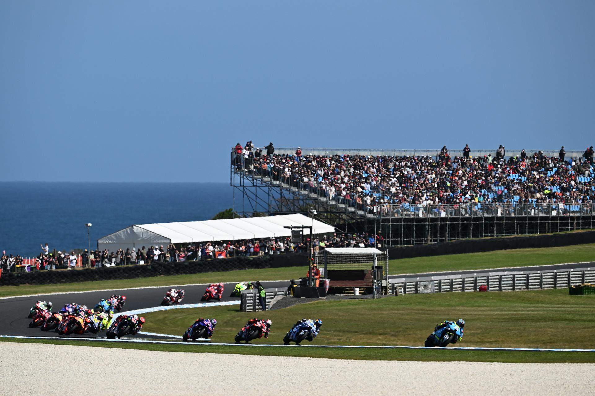 VÍDEO: Impactant accident a MotoGP amb unes gavines a Phillip Island: "Ha estat una massacre"