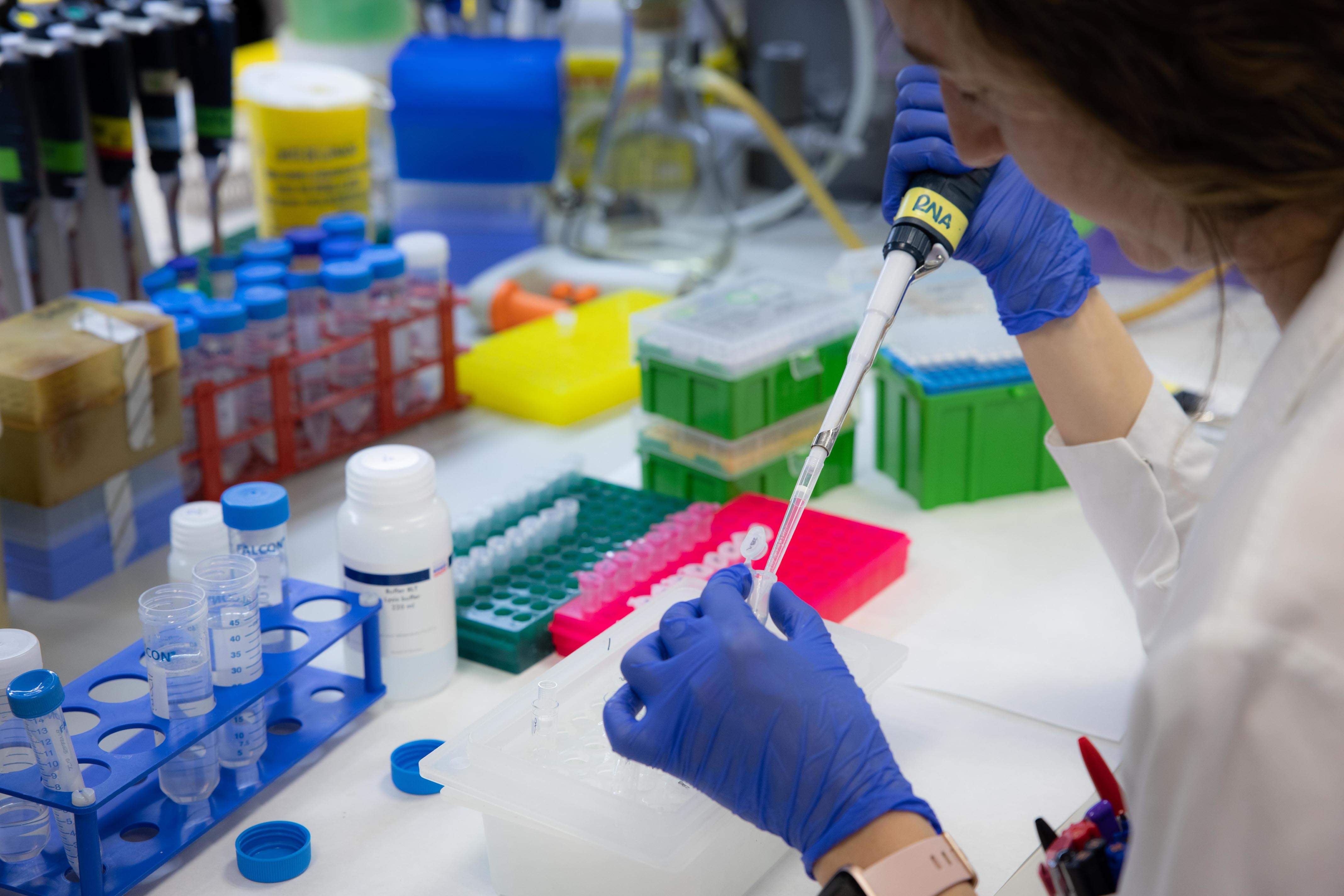 Caballos de Troya contra el cáncer de mama metastásico: esto concluye un estudio hecho desde Barcelona