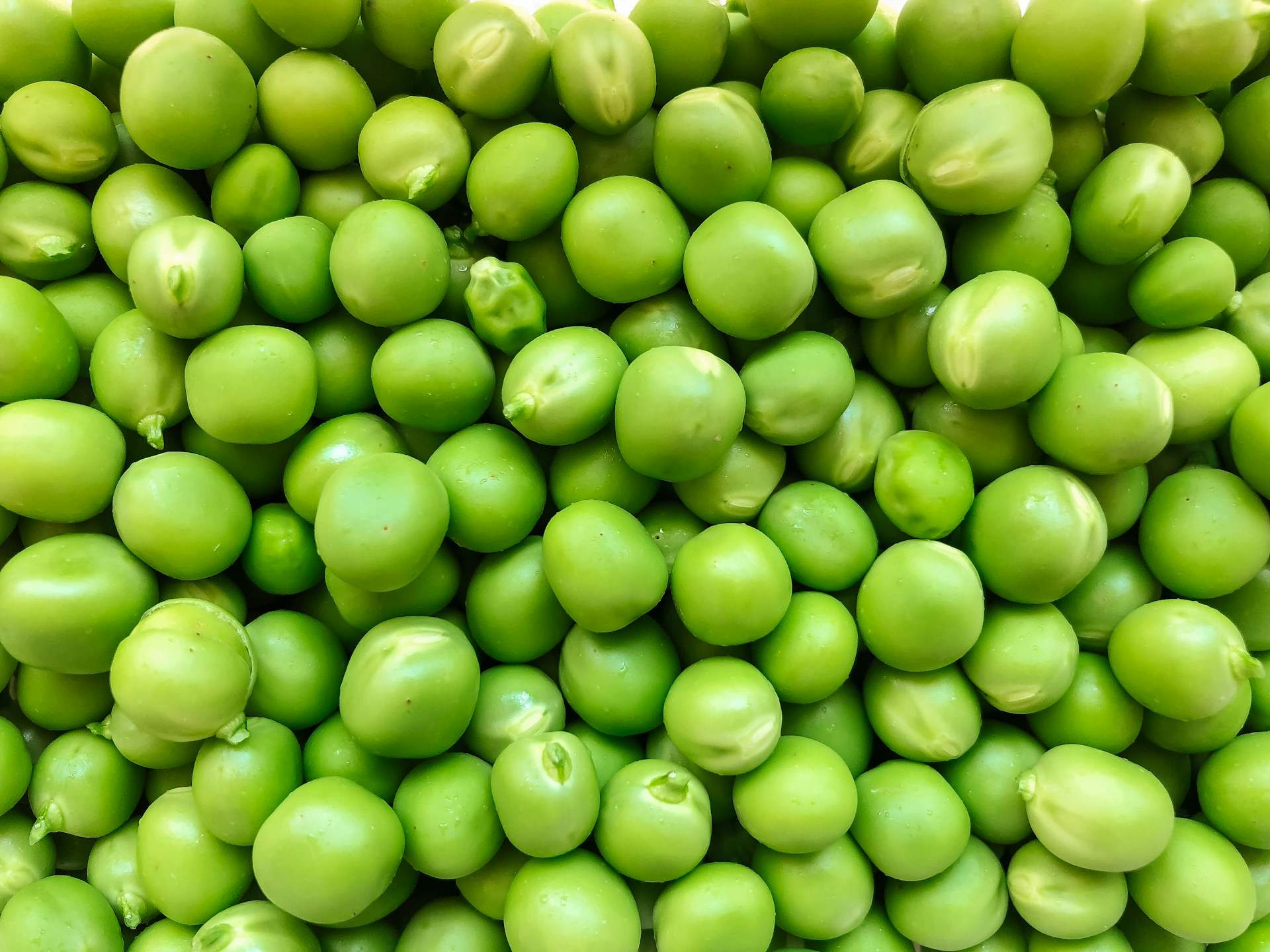 El complemento alimenticio que toman los jóvenes (y en realidad deberían tomar los jubilados)