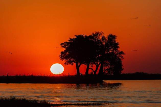 Botswana / Foto: Diego Delso (Wikimedia Commons) Botswana / Foto: Diego Delso (Wikimedia Commons)