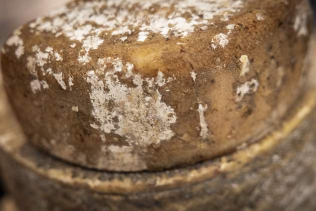 Leche Cruda, penicilium candidum / Foto: Carlos Baglietto Leche Cruda, penicilium candidum / Foto: Carlos Baglietto