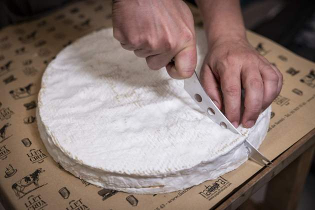 Leche Cruda, penicilium candidum / Foto: Carlos Baglietto Leche Cruda, penicilium candidum / Foto: Carlos Baglietto