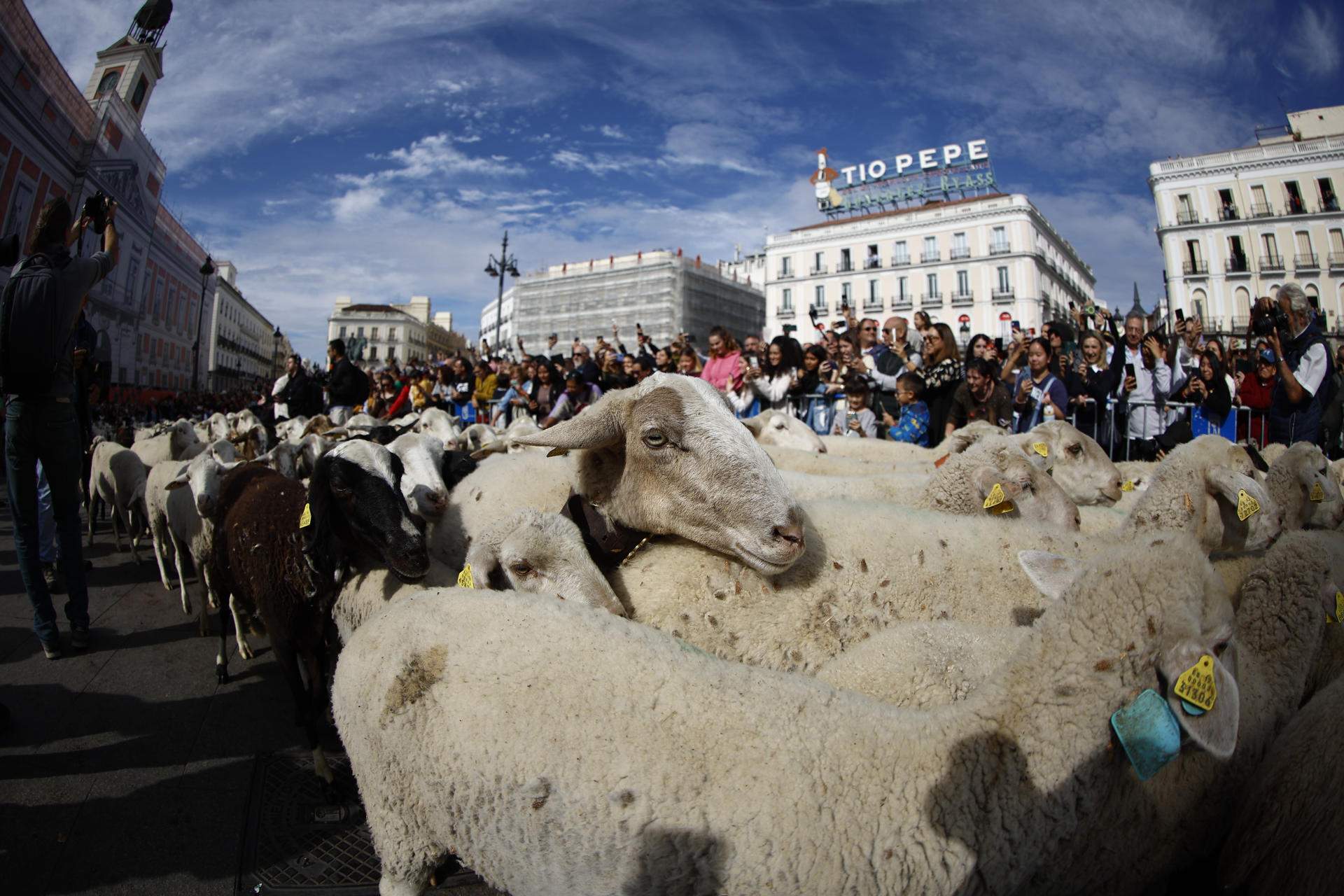 Madrid (Espanya) Madrid (Espanya)