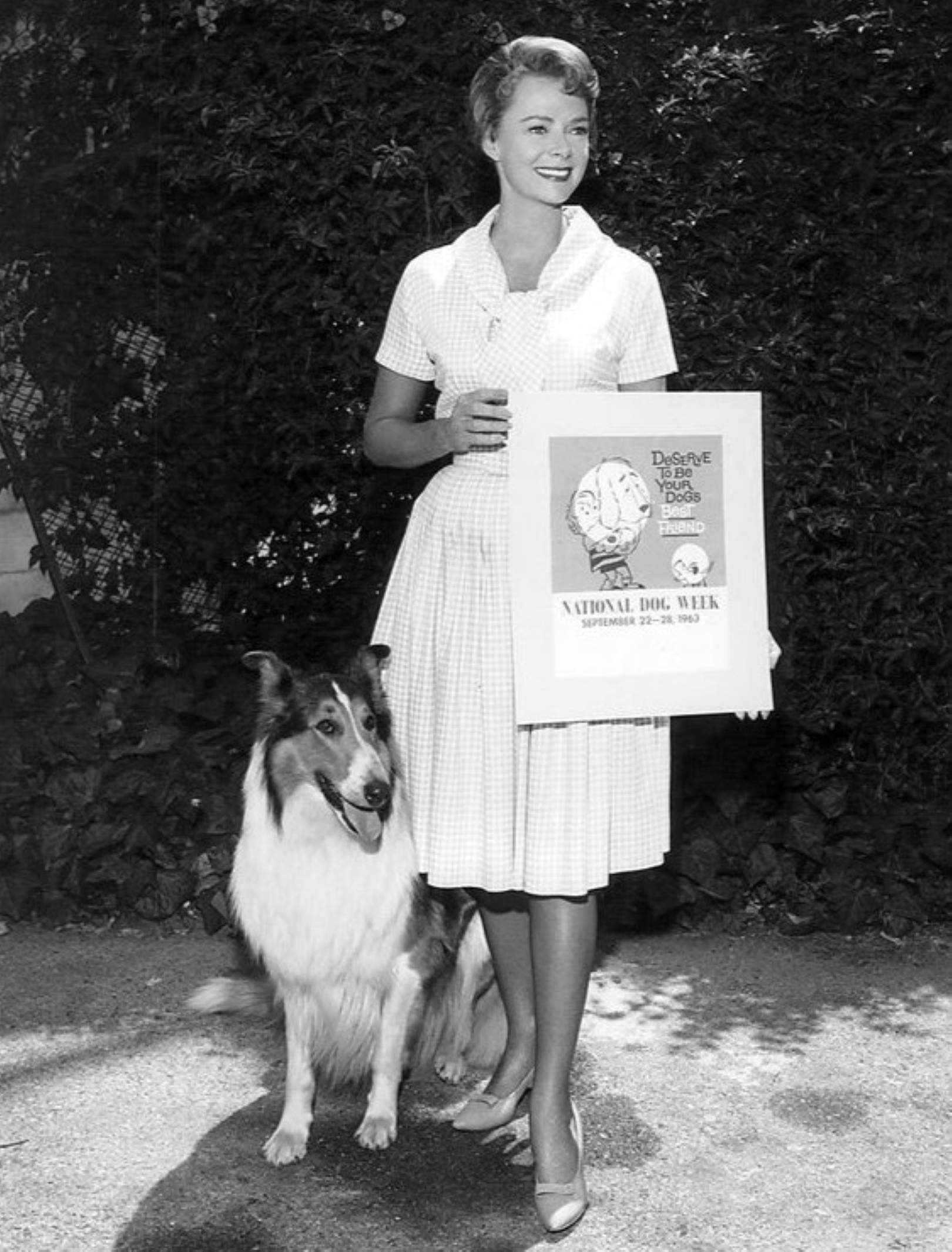 Muere June Lockhart, la actriz que interpretó a la madre de la familia en 'Lassie' Muere June Lockhart, la actriz que interpretó a la madre de la familia en 'Lassie'
