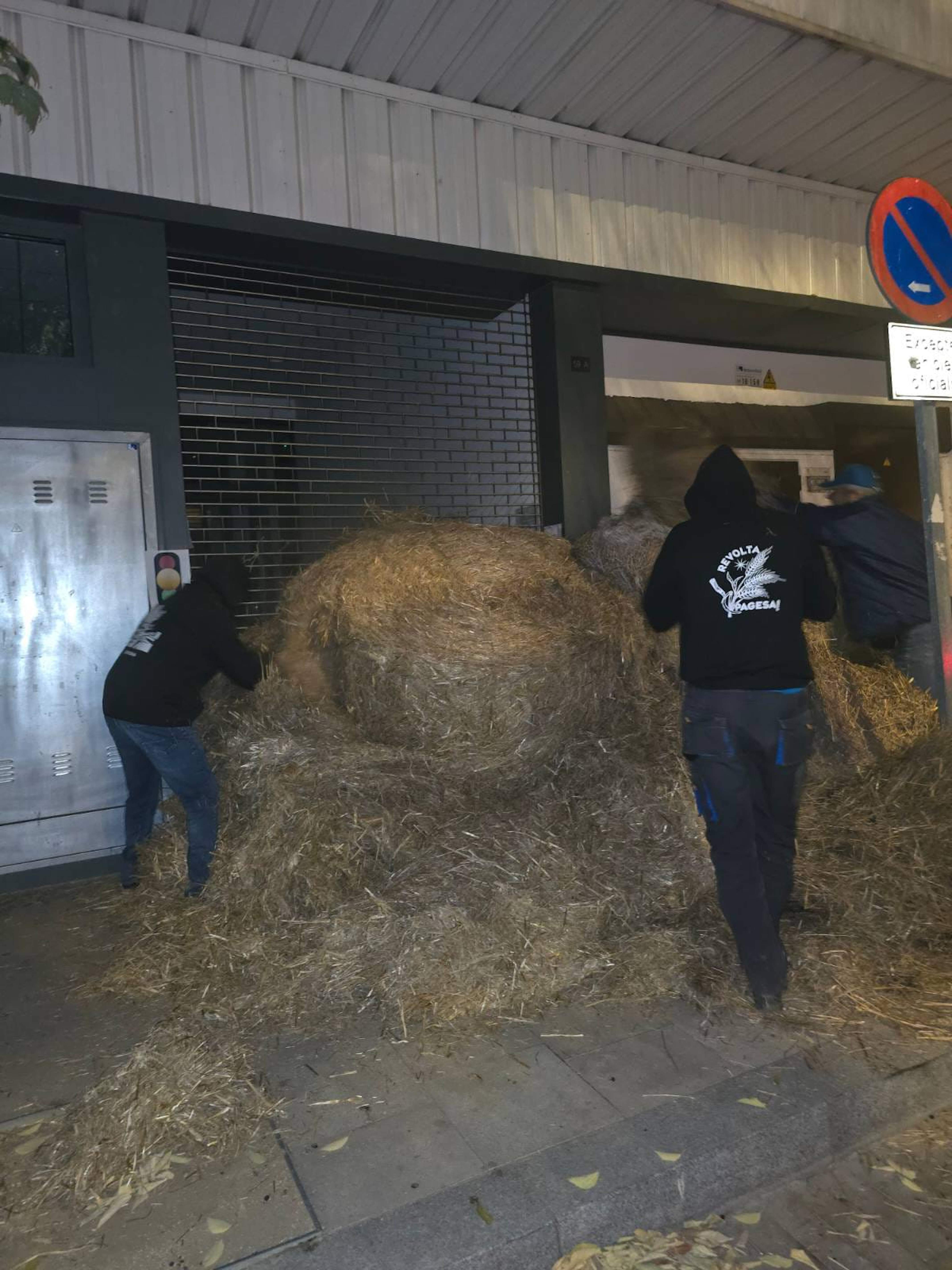 Payeses vandalizan oficinas de Agricultura para protestar por la dermatosis nodular | VÍDEO Payeses vandalizan oficinas de Agricultura para protestar por la dermatosis nodular | VÍDEO
