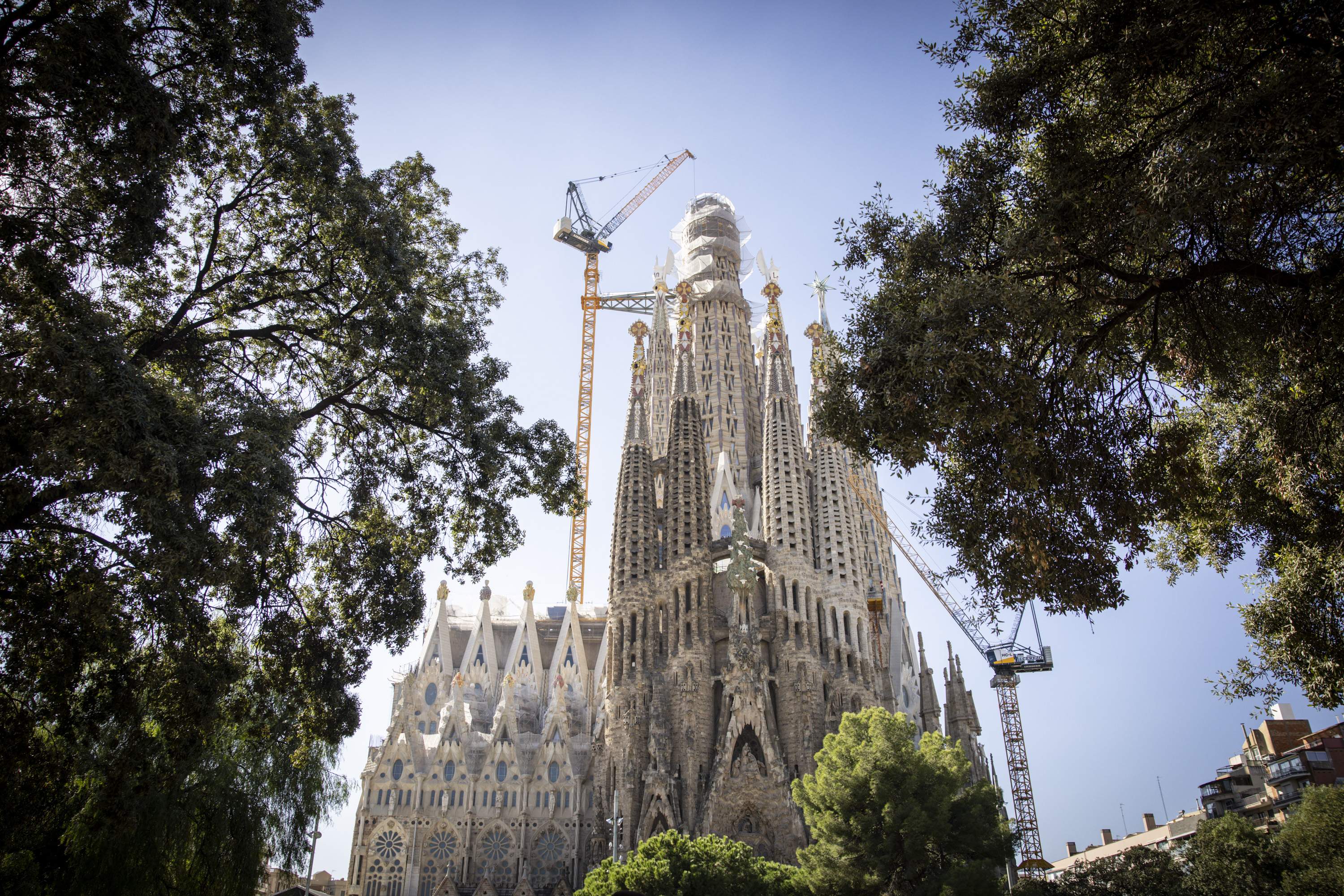 Esperando al santo padre: así se prepara la Sagrada Familia para celebrar el Año Gaudí