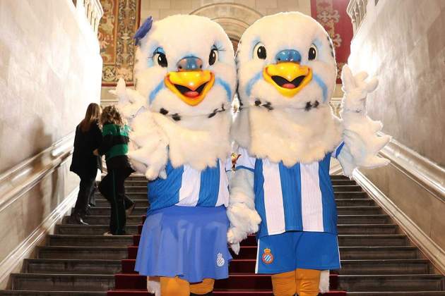 rcdespanyol 1761675968 3753532534865584176 294876541 rcdespanyol 1761675968 3753532534865584176 294876541