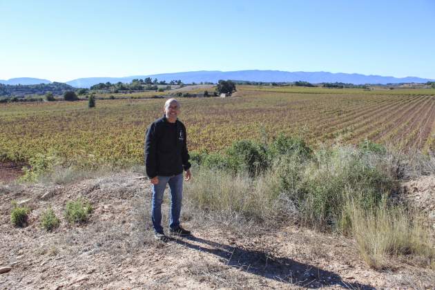 vinya i josep maria vinya i josep maria