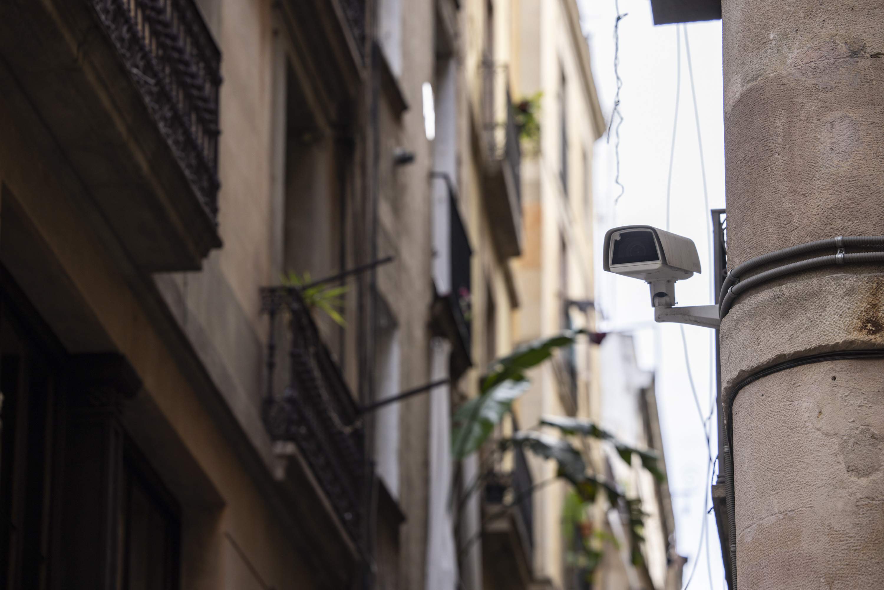 Barcelona instala 26 cámaras de videovigilancia en la plaza Reial y la avenida de la Catedral